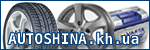   .     .  .   Bosch, Ista, 
